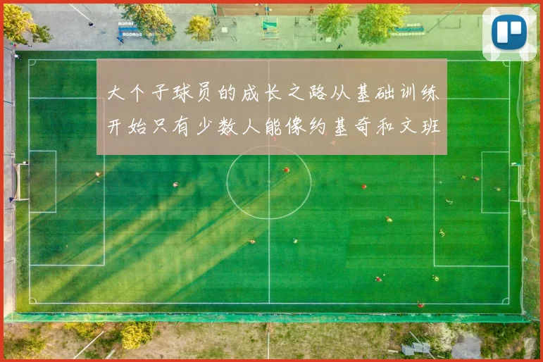大个子球员的成长之路从基础训练开始只有少数人能像约基奇和文班那样成功