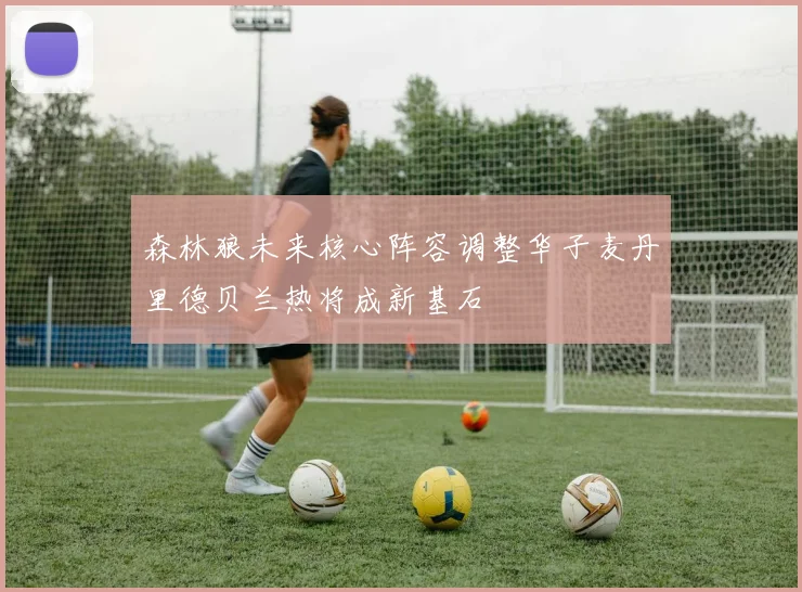 森林狼未来核心阵容调整华子麦丹里德贝兰热将成新基石