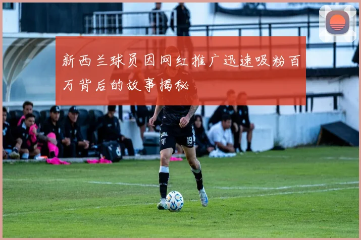 新西兰球员因网红推广迅速吸粉百万背后的故事揭秘